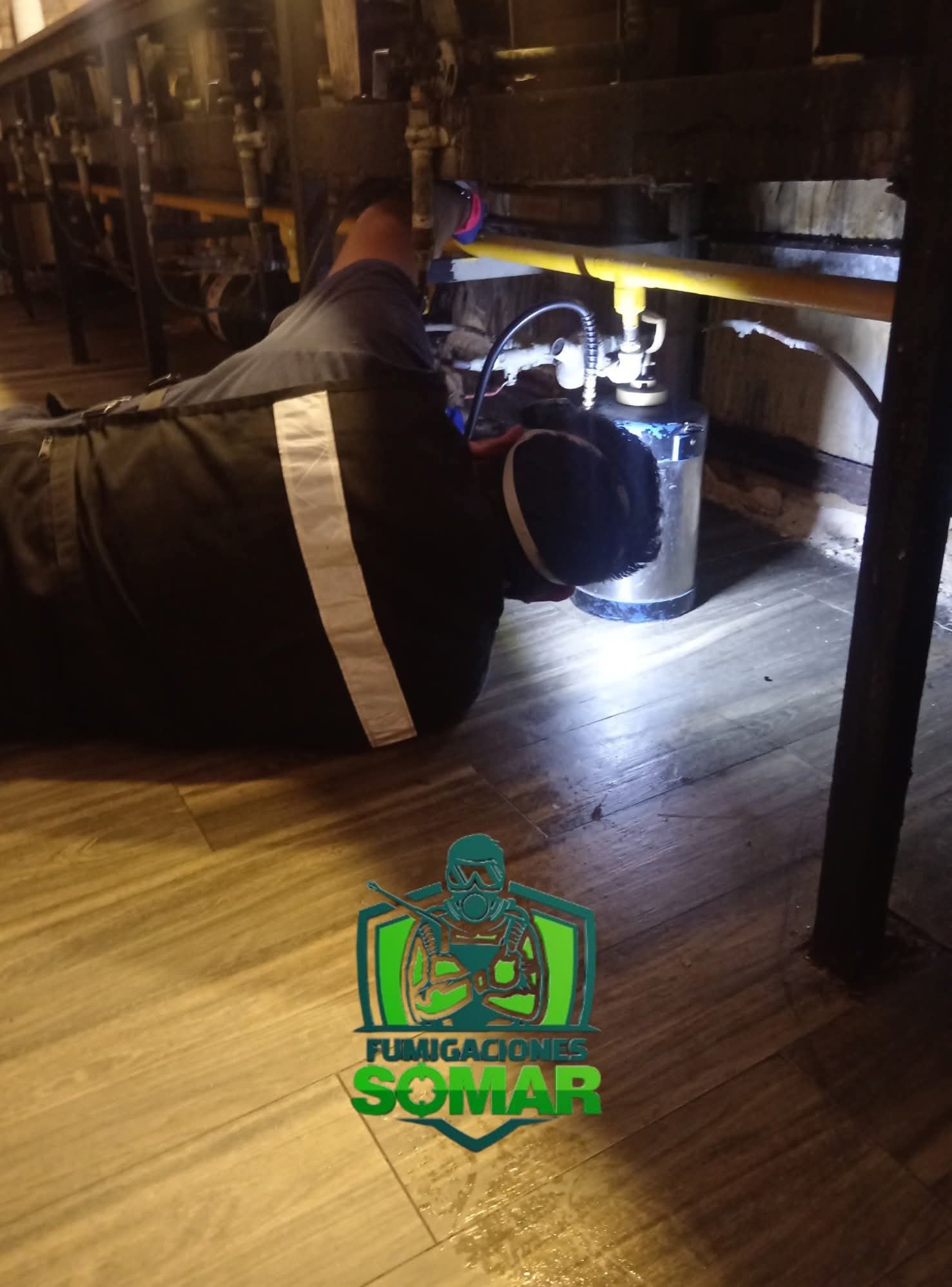 Aspiración profunda de cucarachas y huevecillos