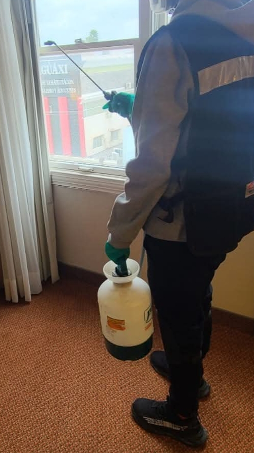 Fumigación profesional en hoteles